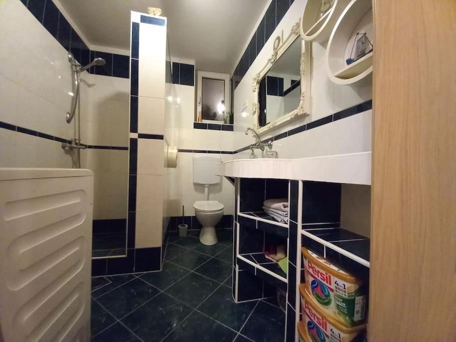 לובליאנה Nice Apartment Near By Capital Of Slovenia מראה חיצוני תמונה