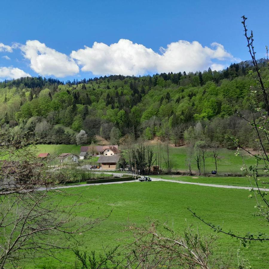 לובליאנה Nice Apartment Near By Capital Of Slovenia מראה חיצוני תמונה